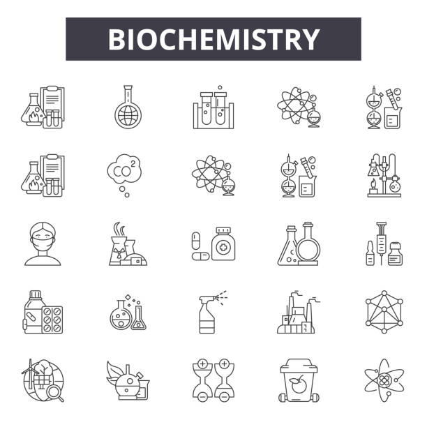 ilustrações de stock, clip art, desenhos animados e ícones de biochemistry line icons for web and mobile. editable stroke signs. biochemistry outline concept illustrations - life sciences