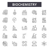 istock Biochemistry line icons for web and mobile. Editable stroke signs. Biochemistry outline concept illustrations 1136898218