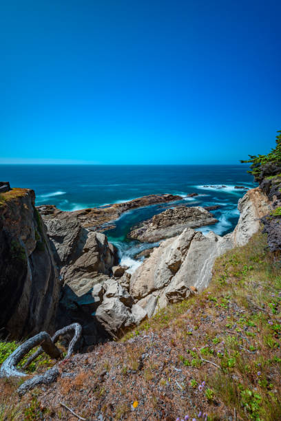 istock Shore Acres State Park, Oregon Coast 1136899674