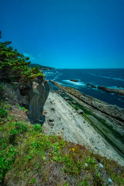 Shore Acres State Park, Oregon Coast