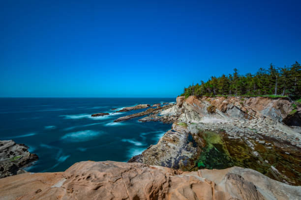 istock Shore Acres State Park, Oregon Coast 1136899707