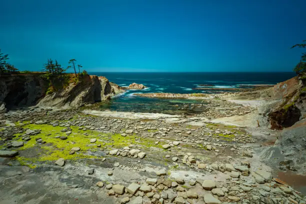 Shore Acres State Park, Oregon Coast