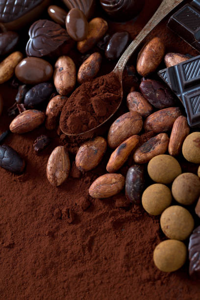 istock cocoa and chocolate candies 1136900756