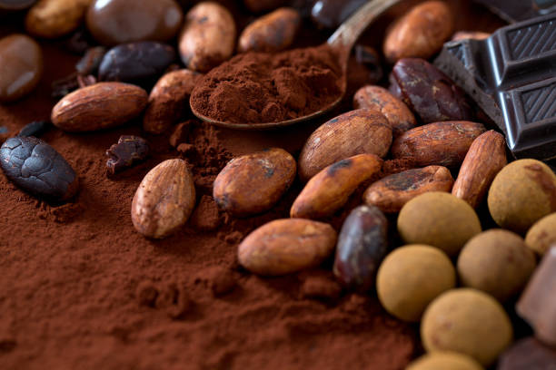 istock cocoa and chocolate candies 1136900890