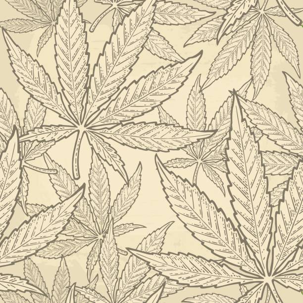 마리화나 잎과 완벽 한 패턴입니다. 빈티지 블랙 벡터 조각 일러스트 - weeding stock illustrations