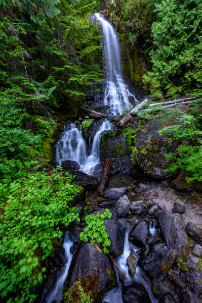 istock Bridge Falls, Mt Rainier National Park 1136903997