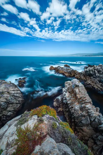 Point Lobos State Reserve, CA