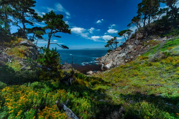 Point Lobos State Reserve, CA