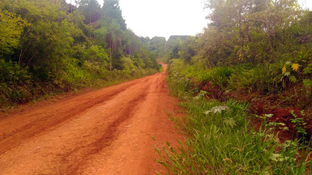 Red dirt road in the jungle Red dirt road in the jungle in the province of Misiones misiones province stock pictures, royalty-free photos & images