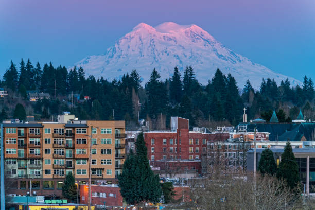 Mount Rainier Sunset Over Olympia Washington