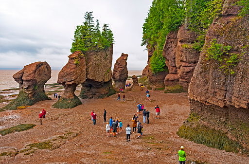 Bay of Fundy, Canada - July 2, 2017: Park visitors explore the ocean floor at low tide