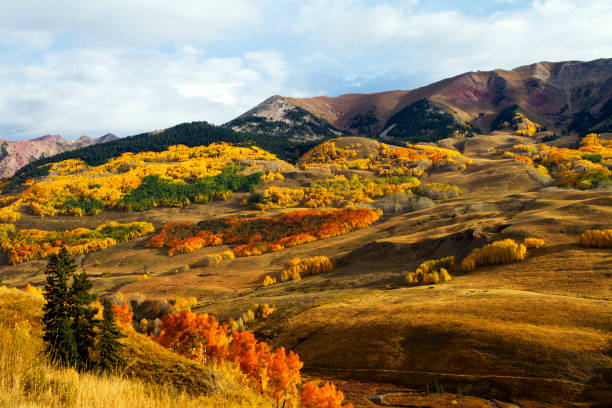 istock Fall Colors Near Mount Crested Butte Colorado 1136914149