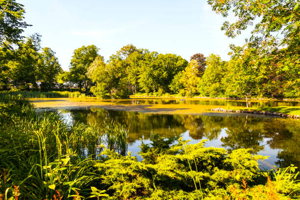 istock The Halifax Public Gardens 1136915600