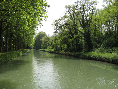 beautiful river Wuerm with green trees in Munich