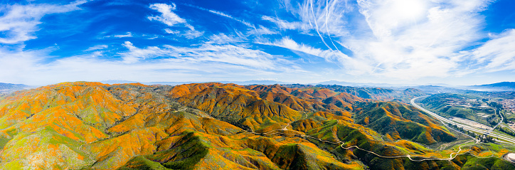 Aerial view of the poppy superbloom in lake elsinore