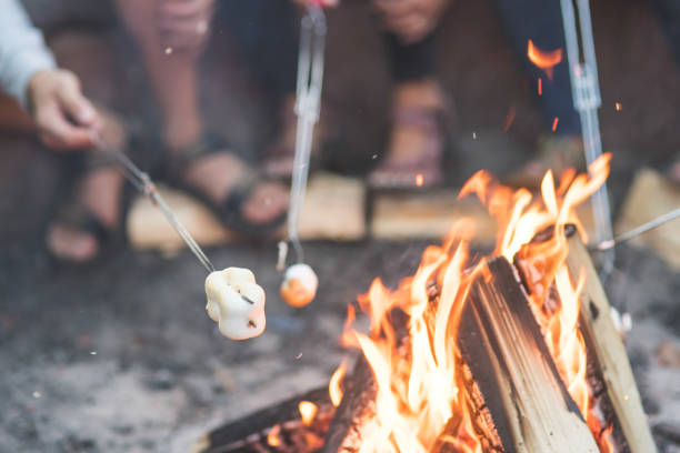 istock Smores by the campfire 1136920850