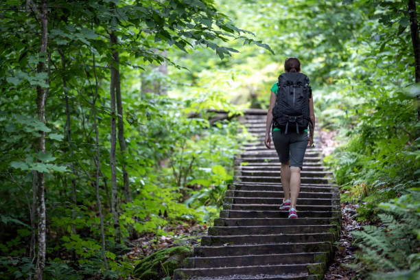 istock Woman Hiking Trekking with Backpack on Footpath in Forest 1136924698