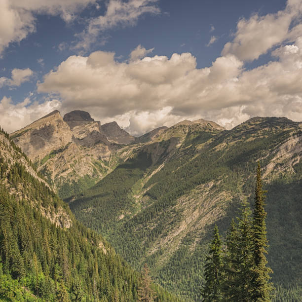 istock Mount Fernie Peaks 1136930250