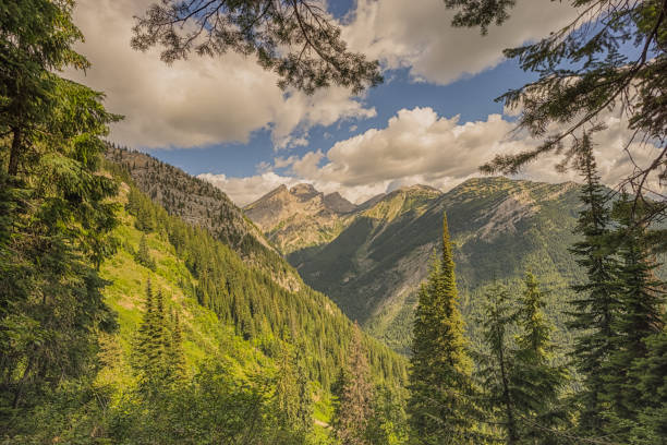 istock Mount Fernie Framed by Trees 1136932210