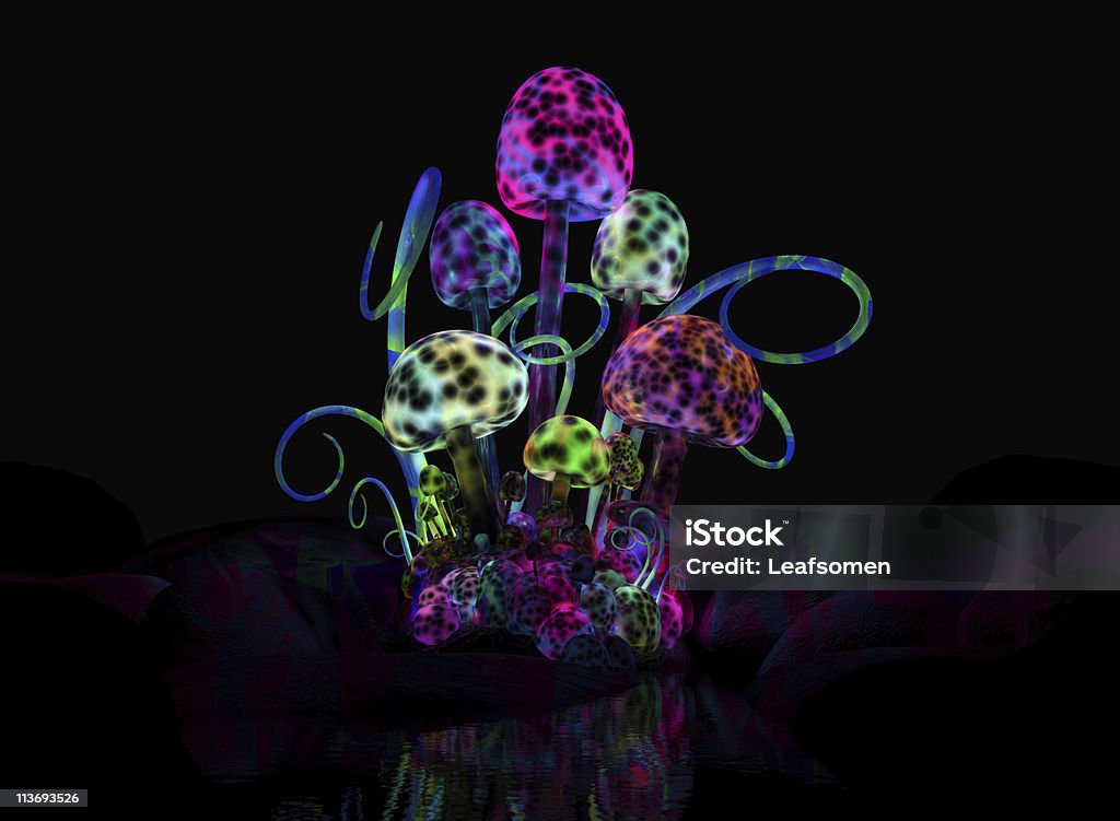 Magical mushrooms  Mushroom Stock Photo