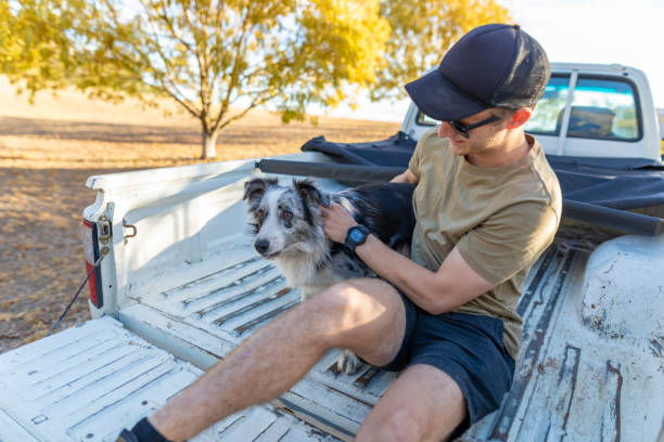 istock Young Adults Playing With a Farm Dog 1136938660