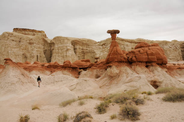 istock Rimrock Toadstools - Hiking to the Formations 1136940870