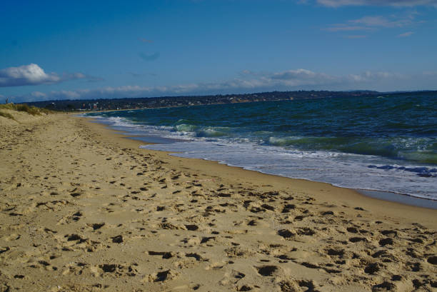istock Seashore with blue water and clear sky 1136940905