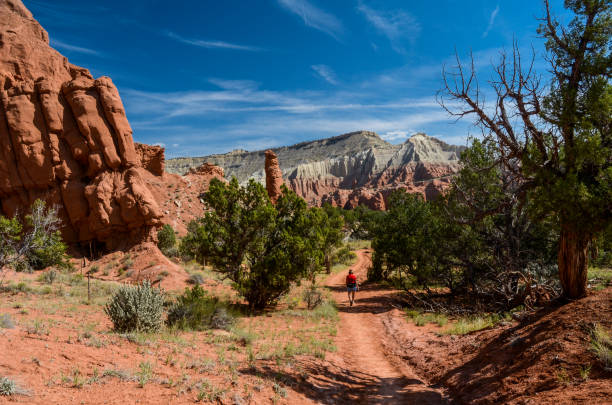 istock Kodachrome Basin - Hiking on the Panorama Trail 1136940929