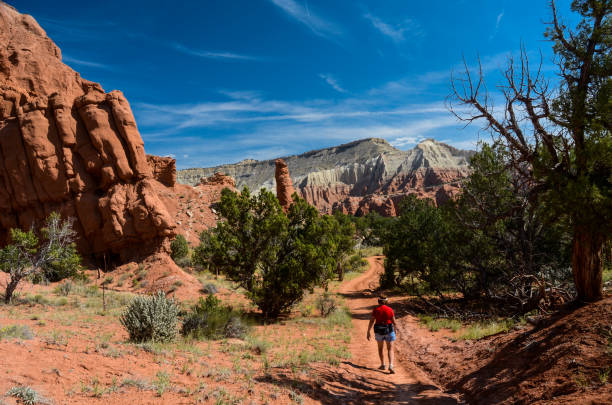 istock Kodachrome Basin - Hiking Panorama Trail 1136942257