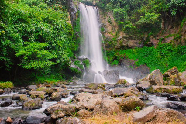 istock beauty nature waterfall indoenesia nature forest 1136947205
