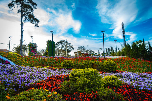 istock imperial city, Hue 1136948444