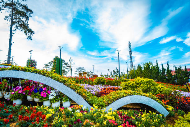 Flower city, Dalat