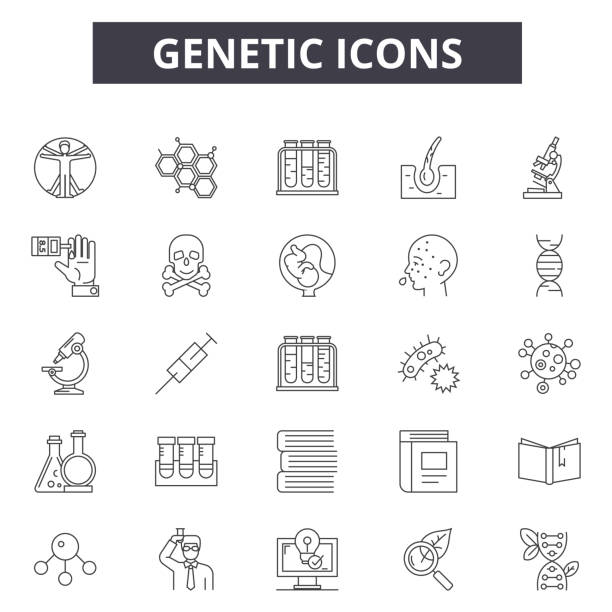 Genetic line icons for web and mobile design. Editable stroke signs. Genetic  outline concept illustrations Genetic line icons for web and mobile. Editable stroke signs. Genetic  outline concept illustrations plant stem stock illustrations