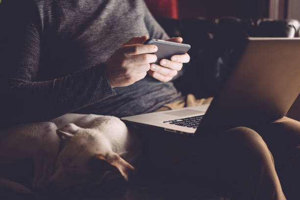 istock Man with his dog and laptop at home 1136950593