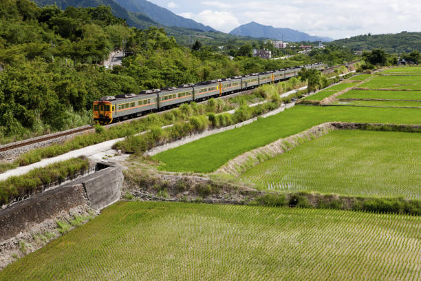 istock Hualien;Furi;Changfu bridge;train 1136952157