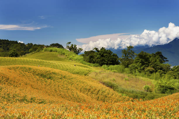 istock Travel in Taiwan 1136952401
