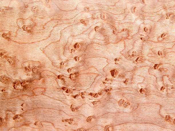 Bird's-Eye Maple Wood Background Texture stock photo