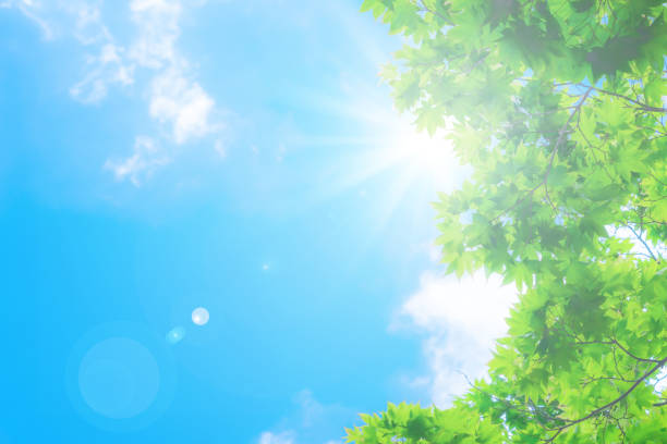 cielo azul con sol - sky spring sunlight clear sky fotografías e imágenes de stock
