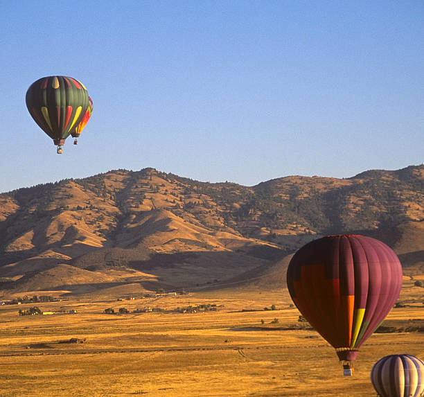 istock Hot Air Balloons 113695770