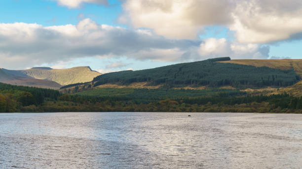 istock Pentwyn Reservoir, Powys, Wales, UK 1136959960