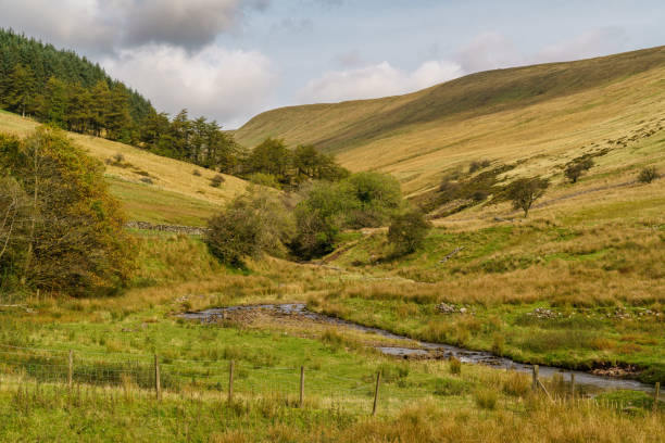 istock Near Cantref Reservoir, Powys, Wales, UK 1136959971