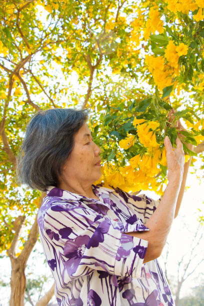 istock Elderly and yellow flowers trees 1136961512