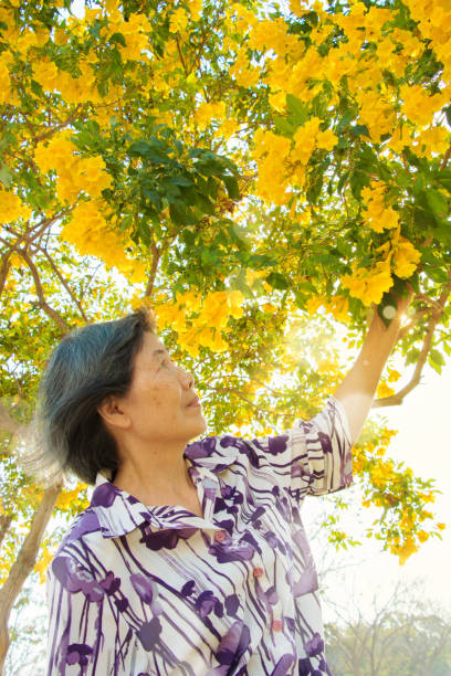 istock Elderly and yellow flowers trees 1136961522