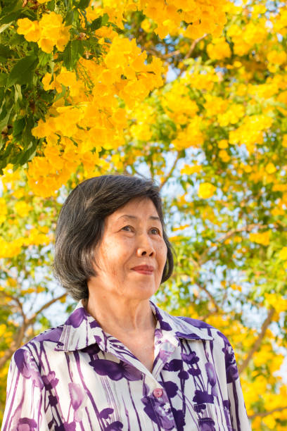 istock Elderly and yellow flowers trees 1136961533