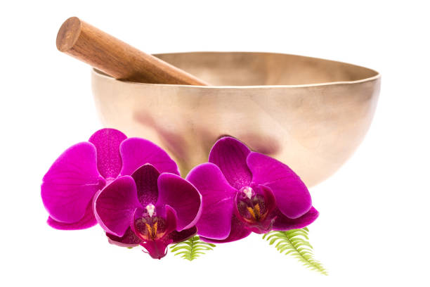白い背景に孤立した花を持つ歌うボウル - music wellbeing rin gong bowl ストックフォトと画像