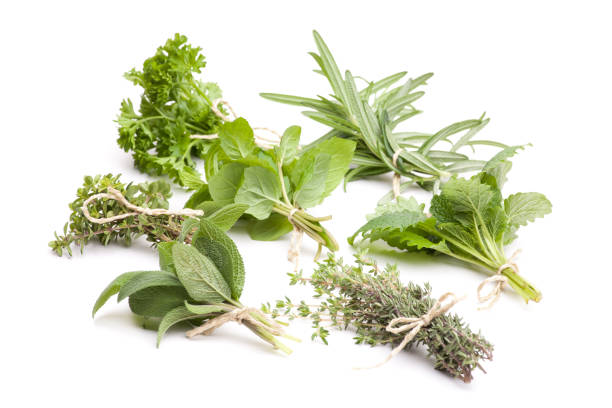 istock medicinal plants: Various herbs from the garden isolated on a white background 1136969547