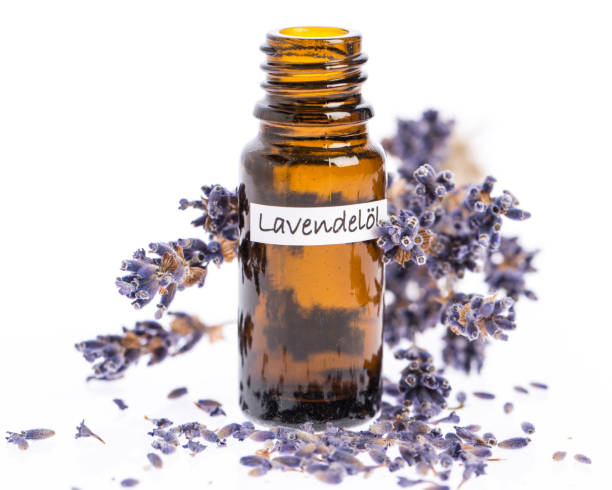 healing plants: lavender oil with flowers isolated on white background - drop herbal medicine leaf perfume imagens e fotografias de stock