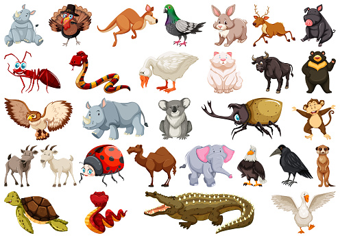 Set of animal character illustration