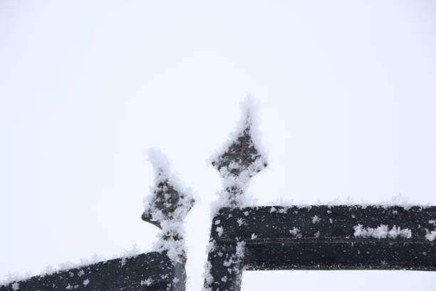 istock iron gate and fence with wrought iron elements covered with snow. 1136970965