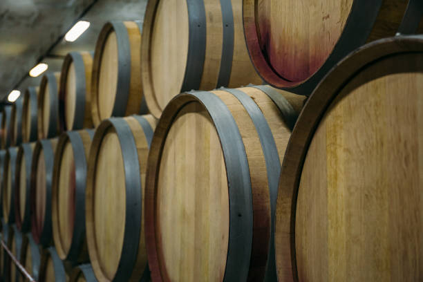 istock Wine cellar with rows of old wooden wine barrels, perspective, copy space 1136973951